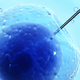 Illustration for article titled Scientists Squeeze Fertilized Eggs Like Ripe Fruit to See How Viable They Are